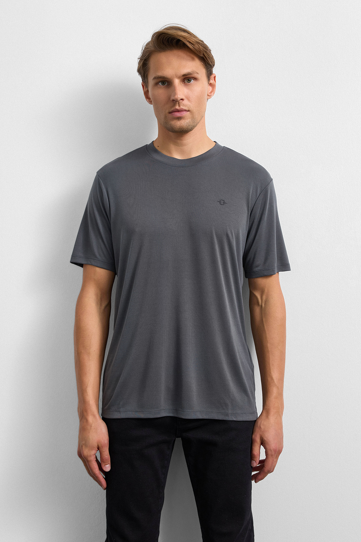 Antrasit Regular Fit Bisiklet Yaka Tişört