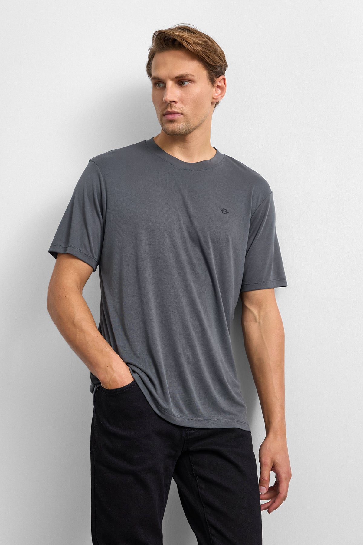 Antrasit Regular Fit Bisiklet Yaka Tişört