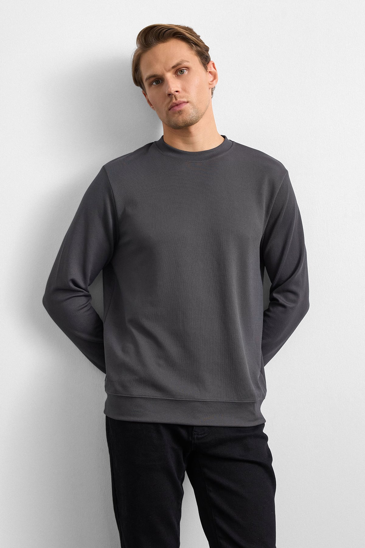 Antrasit Regular Fit Uzun Kol Bisiklet Yaka Tişört