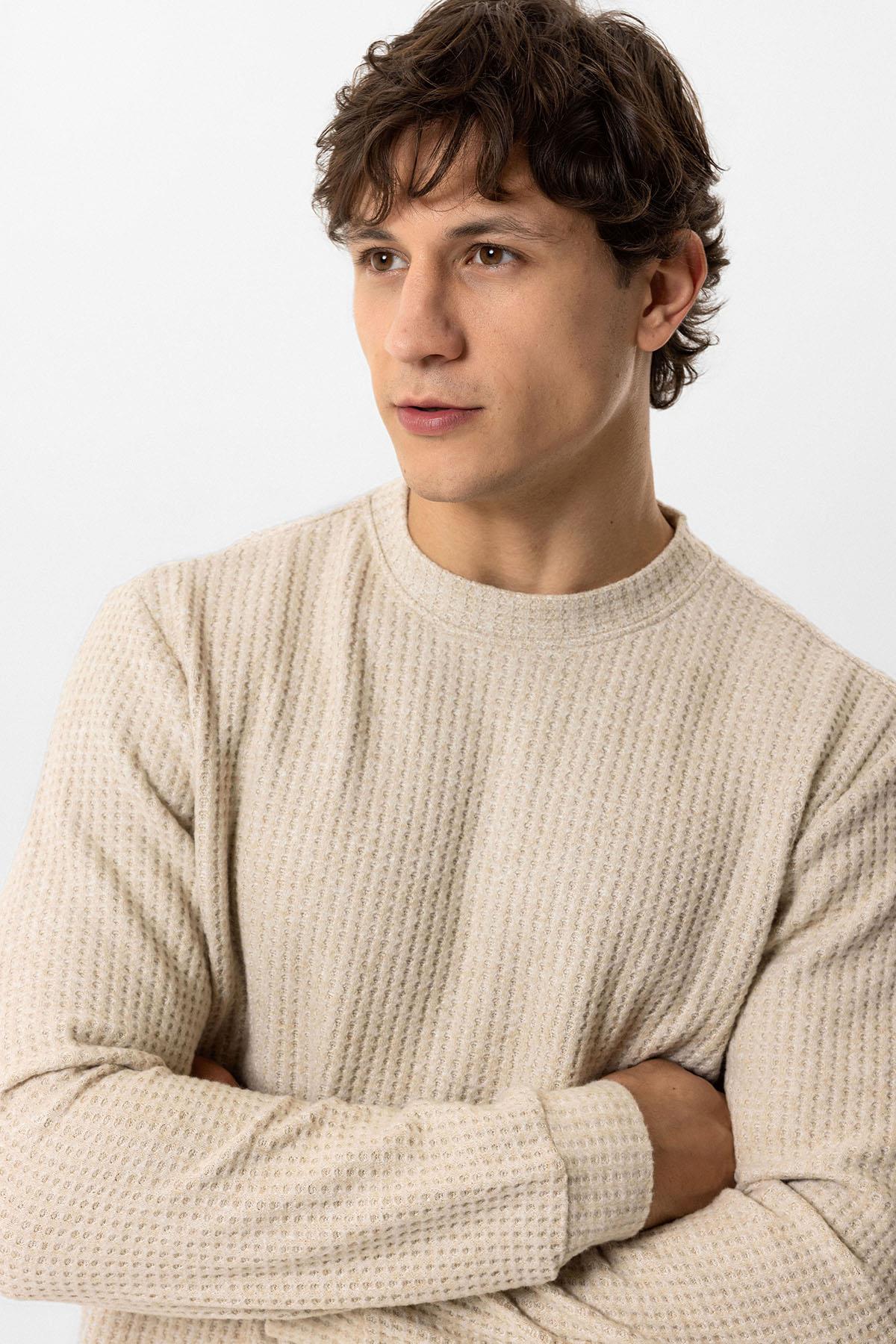 Bej Regular Fit Desenli Bisiklet Yaka Sweatshirt