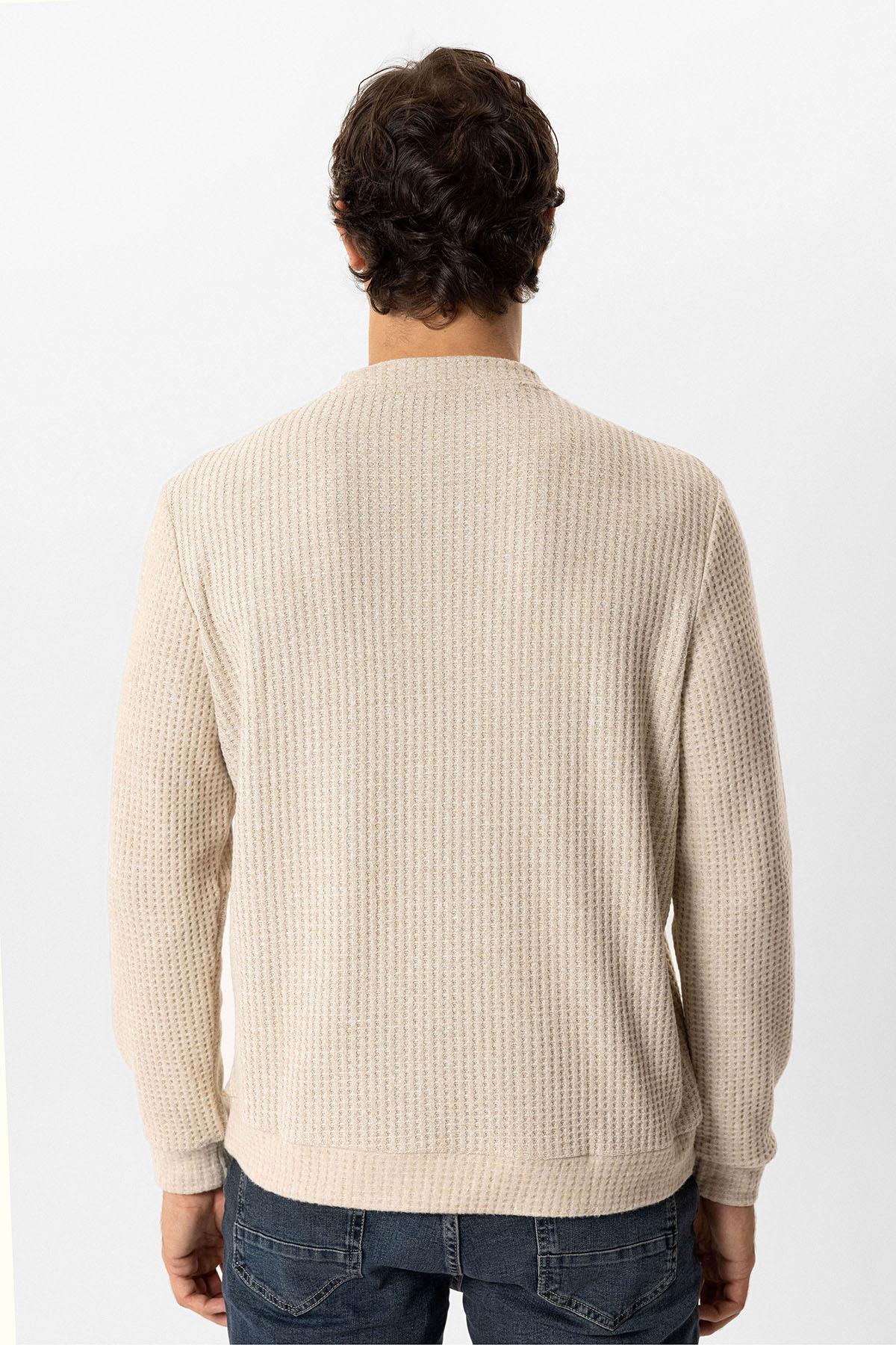 Bej Regular Fit Desenli Bisiklet Yaka Sweatshirt