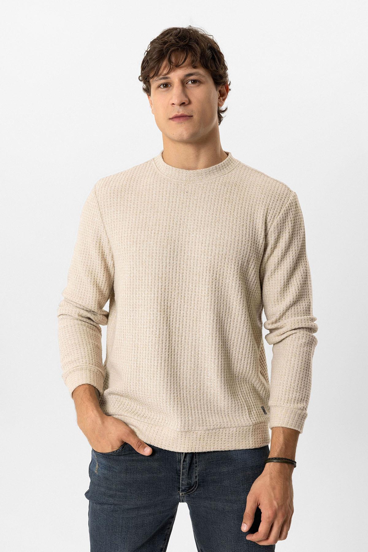 Bej Regular Fit Desenli Bisiklet Yaka Sweatshirt