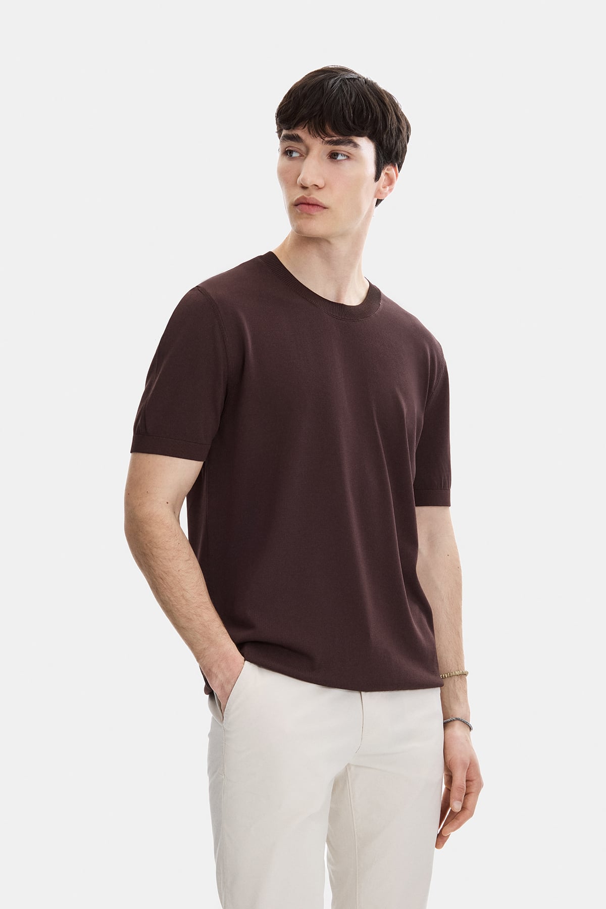 Kahve Regular Fit Bisiklet Yaka Triko Tişört