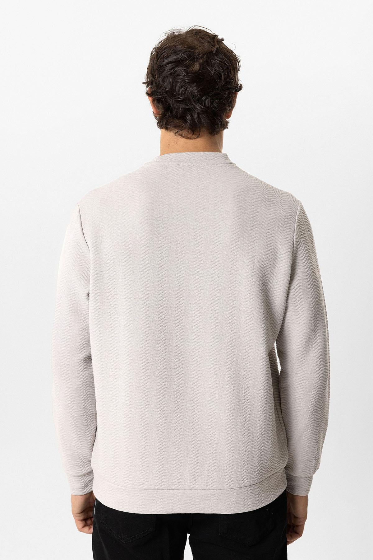 Açık Gri Regular Fit Pamuklu Desenli Bisiklet Yaka Sweatshirt