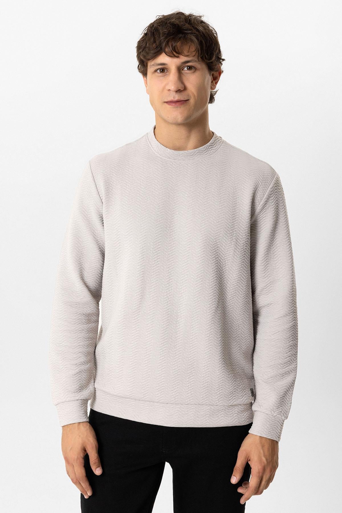 Açık Gri Regular Fit Pamuklu Desenli Bisiklet Yaka Sweatshirt