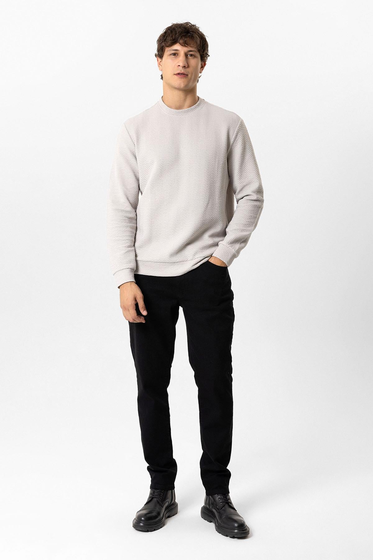 Açık Gri Regular Fit Pamuklu Desenli Bisiklet Yaka Sweatshirt