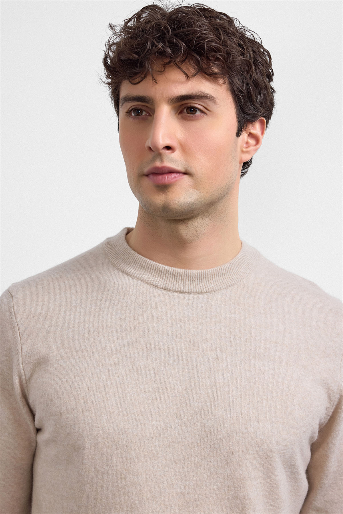 Bej Regular Fit Bisiklet Yaka Triko Kazak