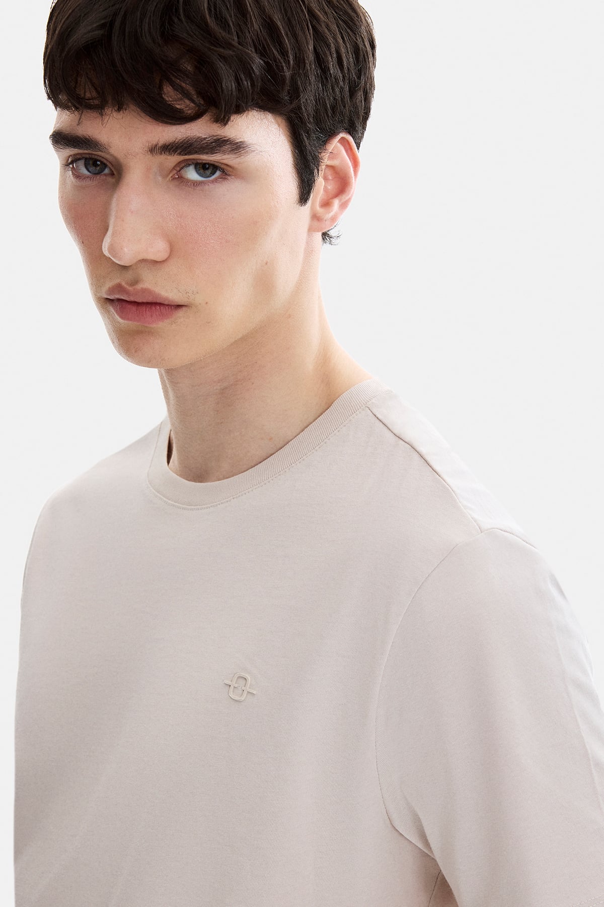 Bej Regular Fit Bisiklet Yaka Tişört