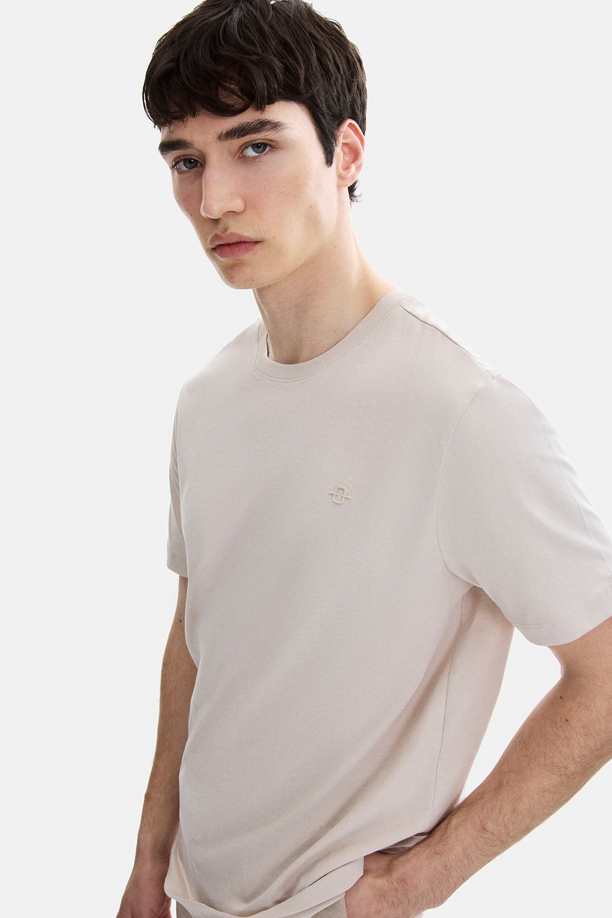 Bej Regular Fit Bisiklet Yaka Tişört