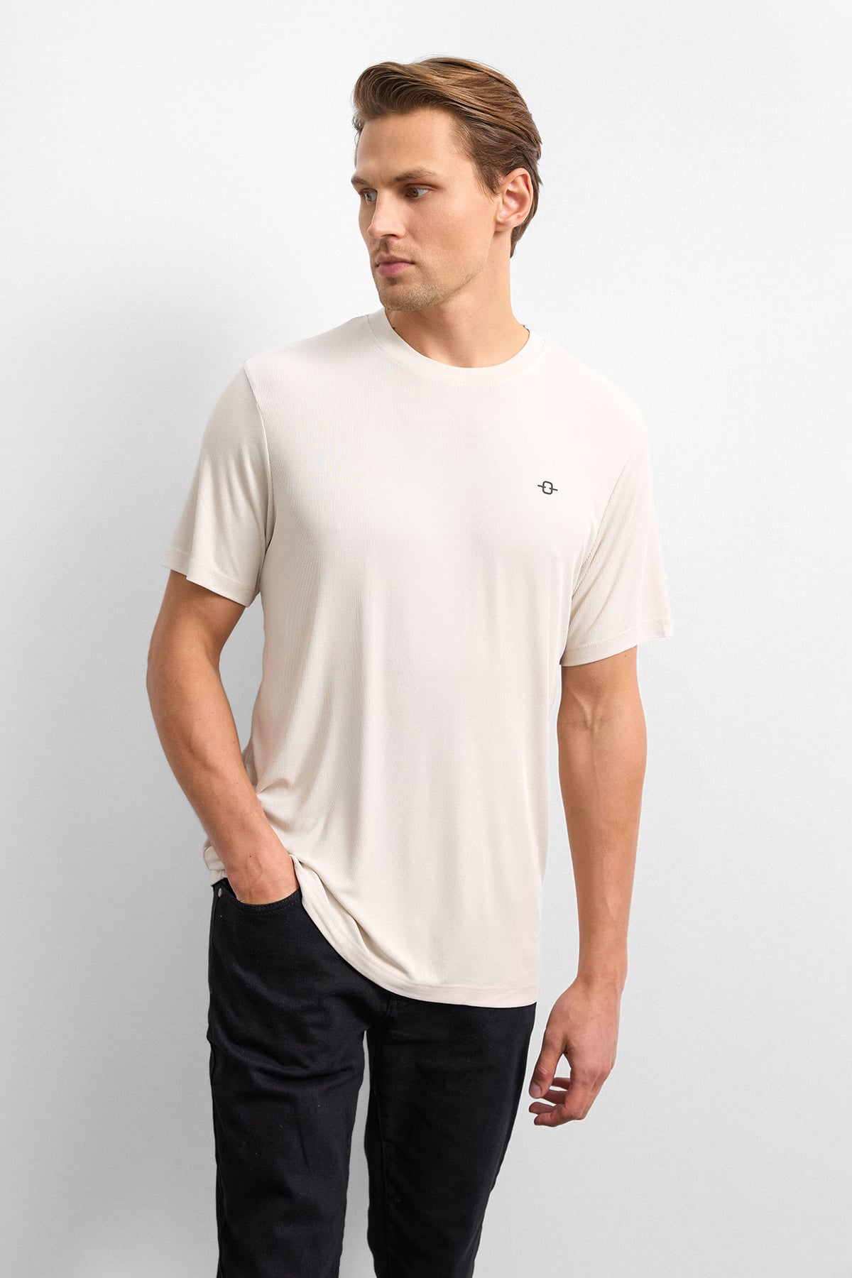 Taş Regular Fit Bisiklet Yaka Tişört