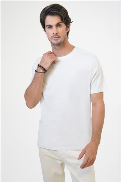 Açık Gri Regular Fit %100 Pamuk Bisiklet Yaka Tişört