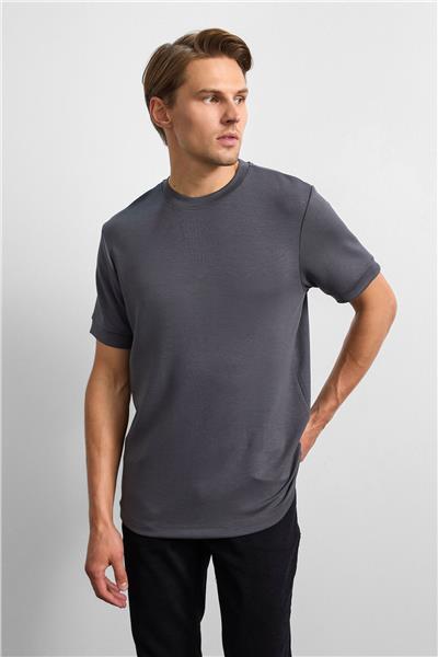 Açık Gri Regular Fit Bisiklet Yaka Tişört