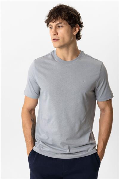 Antrasit Regular Fit %100 Pamuk Bisiklet Yaka Tişört