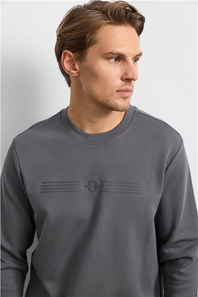 Antrasit Regular Fit Bisiklet Yaka Sweatshirt