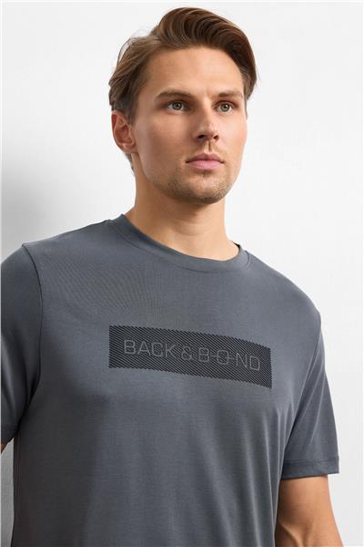 Antrasit Regular Fit Bisiklet Yaka Tişört
