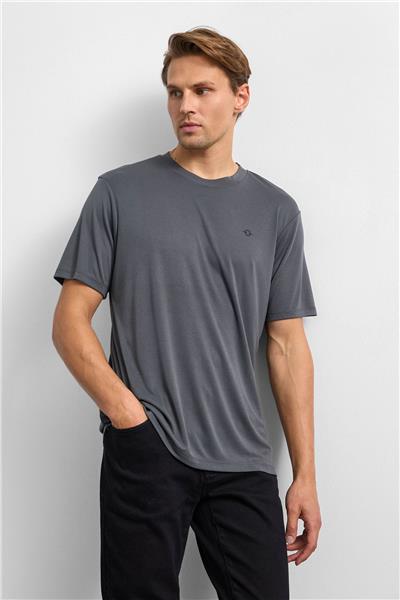 Antrasit Regular Fit Bisiklet Yaka Tişört