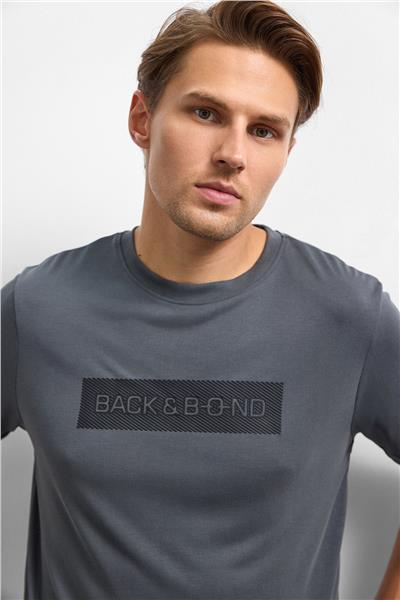 Antrasit Regular Fit Bisiklet Yaka Tişört