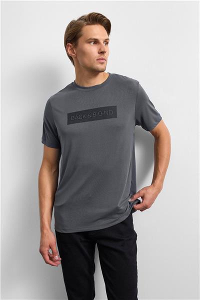 Antrasit Regular Fit Bisiklet Yaka Tişört