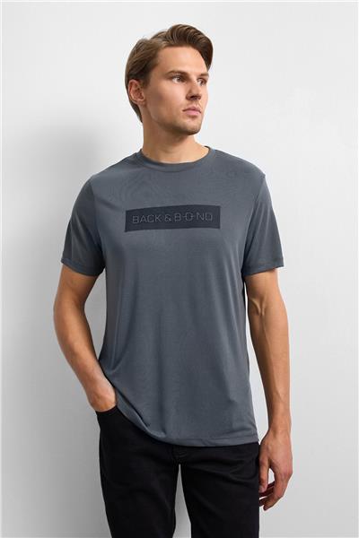 Antrasit Regular Fit Bisiklet Yaka Tişört