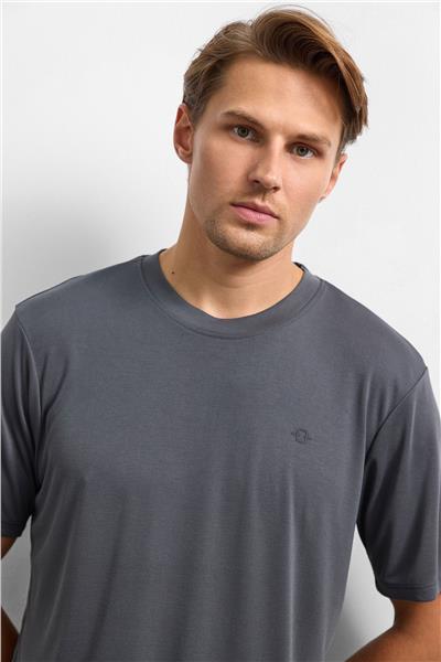 Antrasit Regular Fit Bisiklet Yaka Tişört