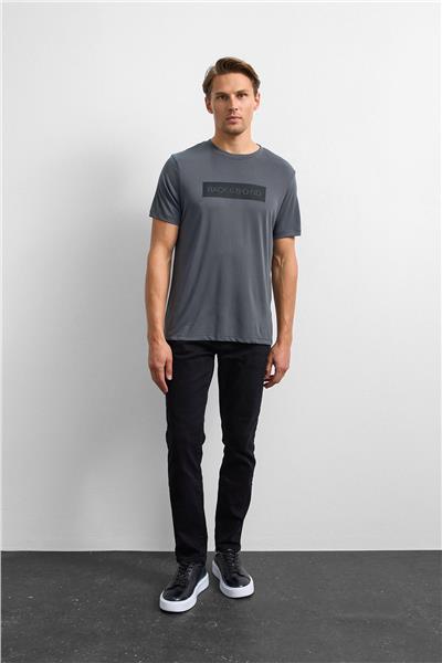 Antrasit Regular Fit Bisiklet Yaka Tişört