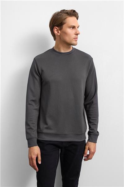 Antrasit Regular Fit Uzun Kol Bisiklet Yaka Tişört