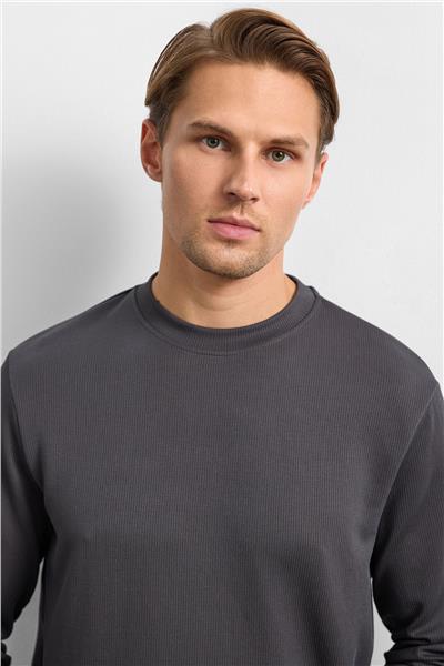 Antrasit Regular Fit Uzun Kol Bisiklet Yaka Tişört