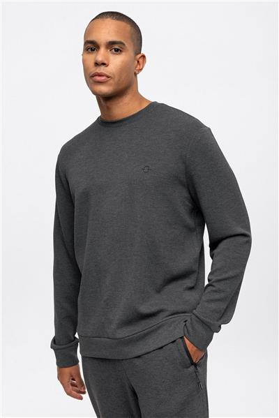 Antrasit Regular Fit Bisiklet Yaka Sweatshirt