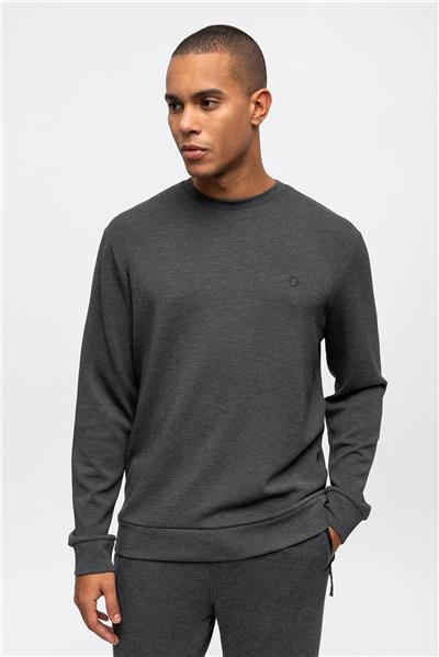 Antrasit Regular Fit Bisiklet Yaka Sweatshirt