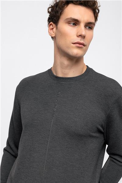 Antrasit Regular Fit Bisiklet Yaka Sweatshirt