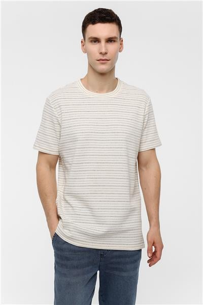 Ekru Regular Fit Bisiklet Yaka Çizgili Tişört