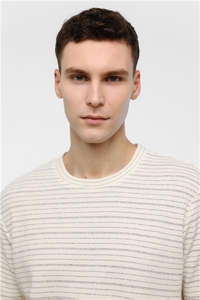 Ekru Regular Fit Bisiklet Yaka Çizgili Tişört