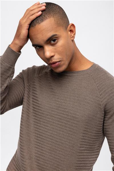 Vizon Regular Fit Jakarlı Pamuklu Bisiklet Yaka Triko Kazak