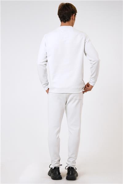 Açık Gri Regular Fit Pamuklu Bisiklet Yaka Sweatshirt