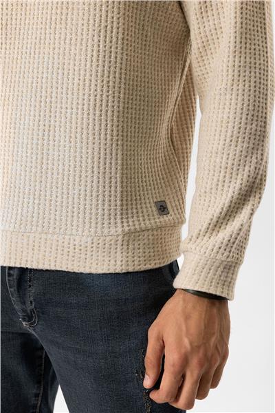 Bej Regular Fit Desenli Bisiklet Yaka Sweatshirt