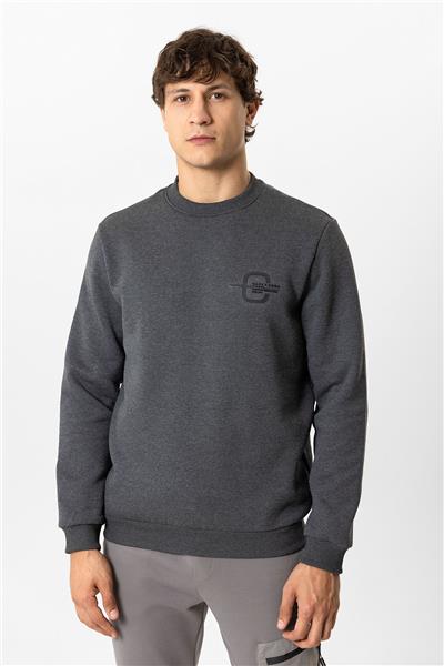 Antrasit Regular Fit Bisiklet Yaka Sweatshirt