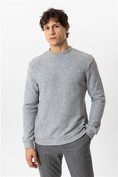 Gri Regular Fit Desenli Bisiklet Yaka Sweatshirt