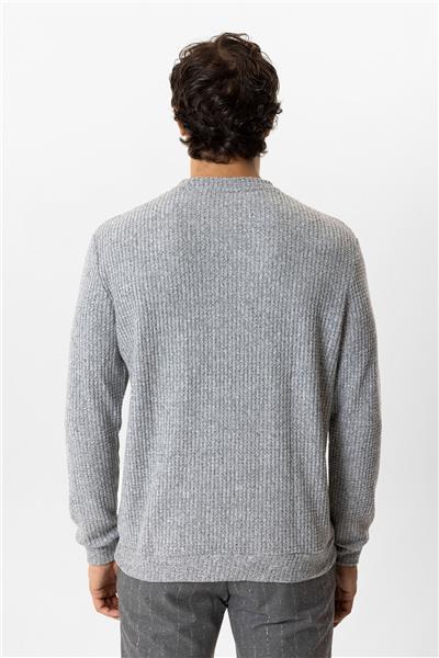 Gri Regular Fit Desenli Bisiklet Yaka Sweatshirt