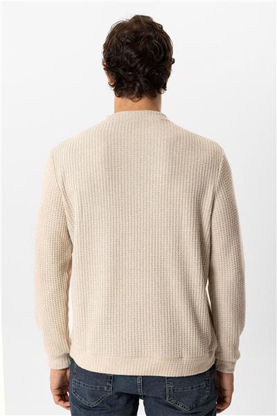 Bej Regular Fit Desenli Bisiklet Yaka Sweatshirt