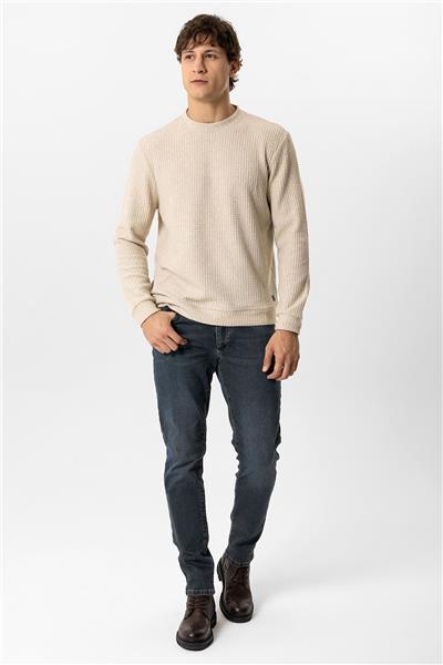 Bej Regular Fit Desenli Bisiklet Yaka Sweatshirt