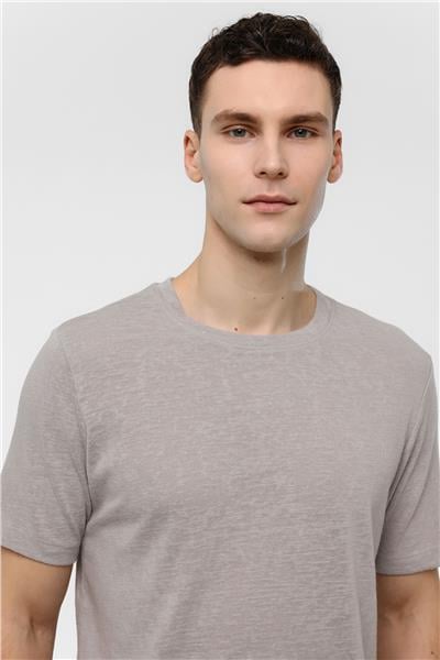 Gri Bisiklet Yaka Regular Fit Tişört