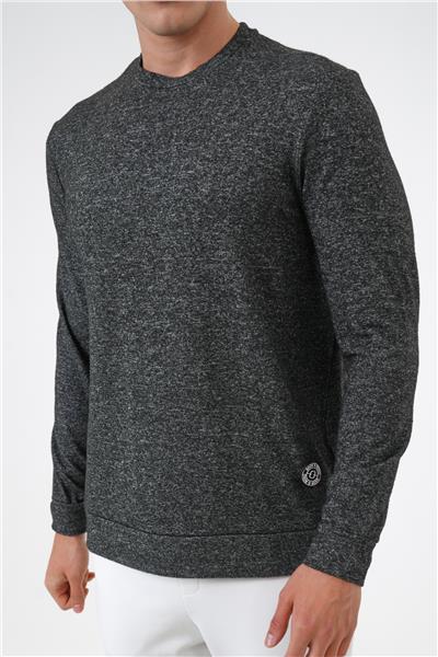 Anstrasit Regular Fit Yumuşak Dokulu Bisiklet Yaka Sweatshirt