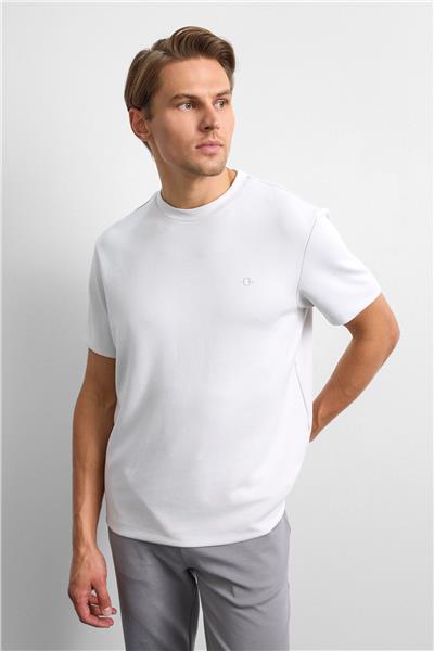 Gri Regular Fit Basıc Tişört