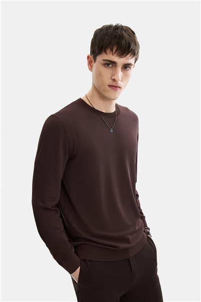 Kahve Regular Fit Bisiklet Yaka Mevsimlik Triko 