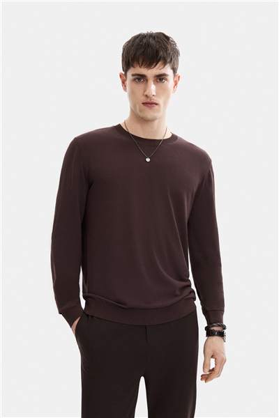 Kahve Regular Fit Bisiklet Yaka Mevsimlik Triko 