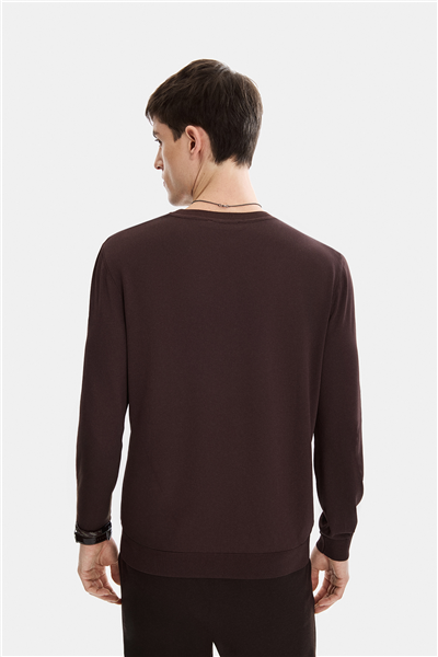 Kahve Regular Fit Bisiklet Yaka Mevsimlik Triko 