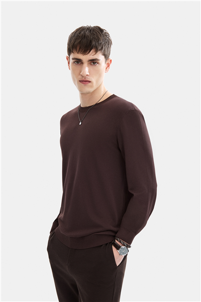 Kahve Regular Fit Bisiklet Yaka Mevsimlik Triko 