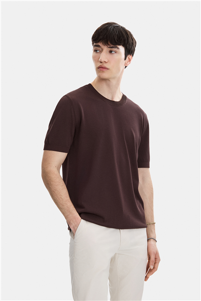 Kahve Regular Fit Bisiklet Yaka Triko Tişört