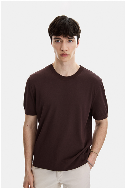 Kahve Regular Fit Bisiklet Yaka Triko Tişört