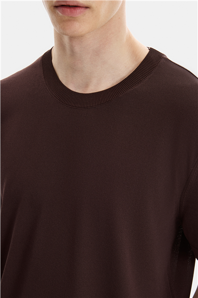 Kahve Regular Fit Bisiklet Yaka Triko Tişört